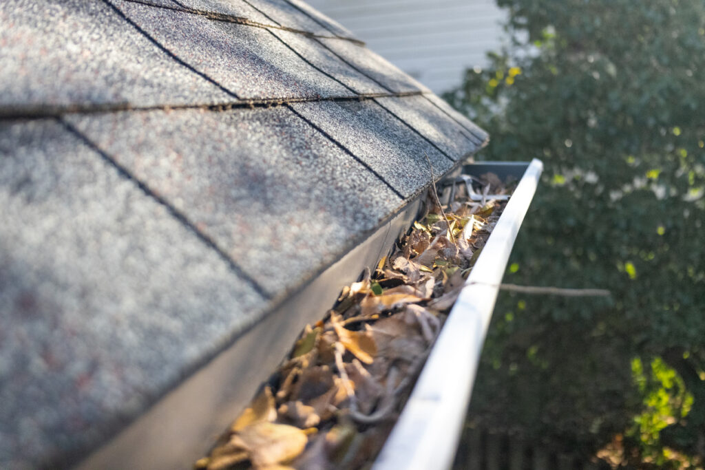Roof gutters matter. Many homeowners overlook their gutters until major damage occurs.
