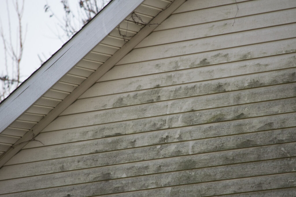 Vinyl siding that has molded and is starting to fall apart on a house. Soffit and fascia are damaged due to damaged and blocked gutters.