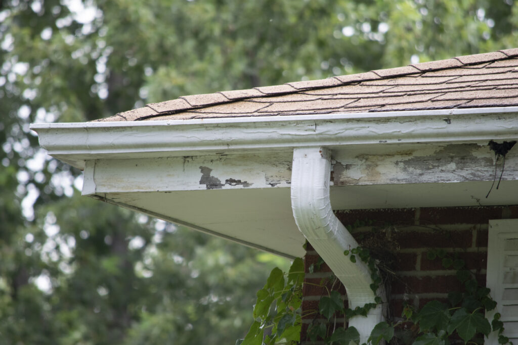Rotted fascia boards can lead to structure damage with your roof and siding.